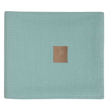 GREENWICH POLO CLUB ΚΟΥΒΕΡΤΑ ΠΙΚΕ 110X150 BABY 8869 MINT