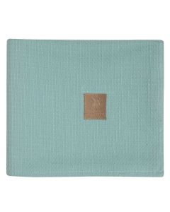 GREENWICH POLO CLUB ΚΟΥΒΕΡΤΑ ΠΙΚΕ 110X150 BABY 8869 MINT