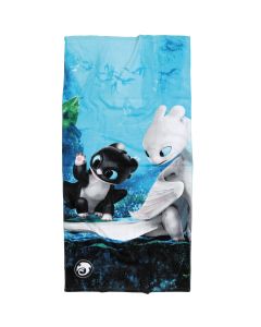 ΠΕΤΣΕΤΑ ΘΑΛΑΣΣΗΣ HOW TO TRAIN YOUR YOUR DRAGON 70Χ140 5865 ΜΑΥΡΟ, ΜΠΛΕ